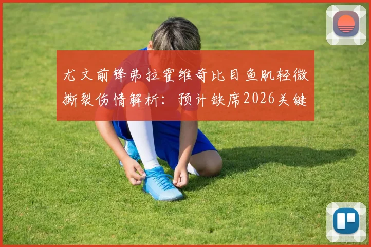 尤文前锋弗拉霍维奇比目鱼肌轻微撕裂伤情解析：预计缺席2026关键战，对球队影响几何？